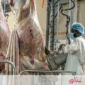 LS Groupe inaugure l’abattoir moderne de Mbour : vers une viande de qualité et un développement structuré